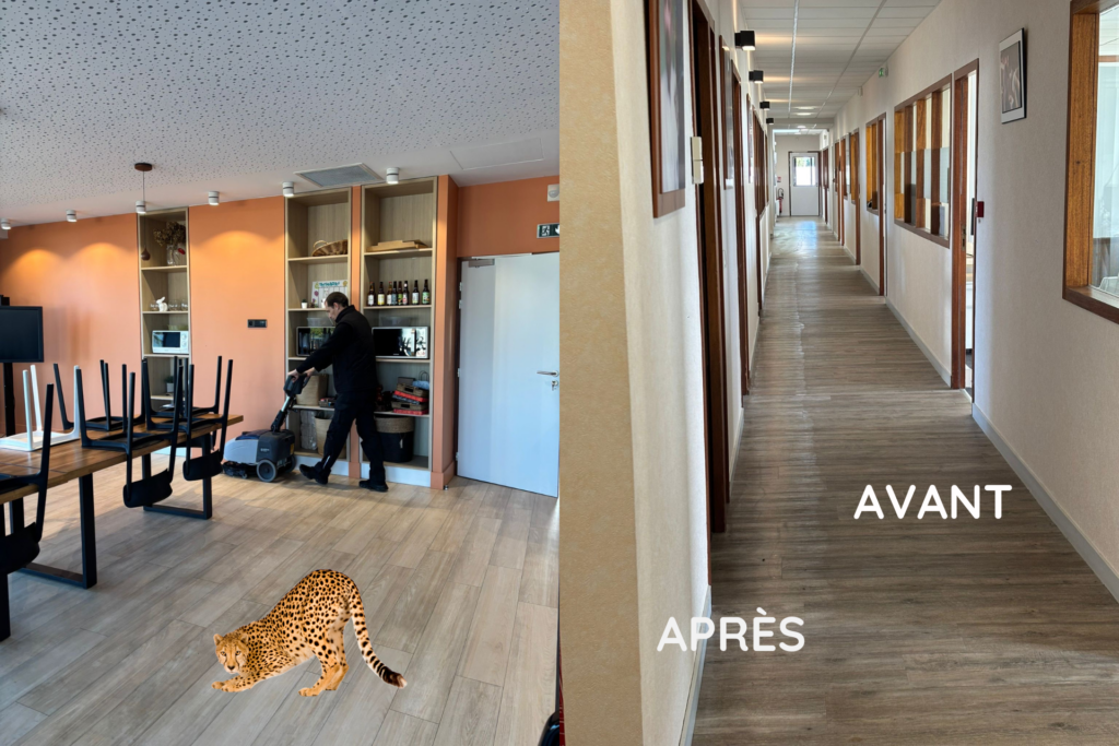 Nettoyage des sols avec disque mélamine : efficacité sans produit chimique