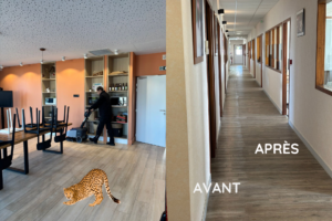 Nettoyage des sols avec disque mélamine : efficacité sans produit chimique