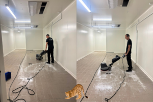 décapage sols après travaux